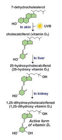 0609special Mlo2 0609special Mlo2