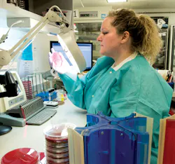 Sarah Holt, MLT, reads a MacConkey agar plate. Sarah Holt, MLT, reads a MacConkey agar plate.