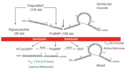 Mlo201801 Ce Story Fig1 Mlo201801 Ce Story Fig1