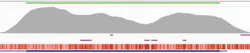 Figure 3b. Reliable detection of a point mutation in a GC-rich region of the CEBPA gene. Figure 3b. Reliable detection of a point mutation in a GC-rich region of the CEBPA gene.