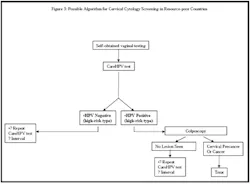 Special Figure3 Special Figure3