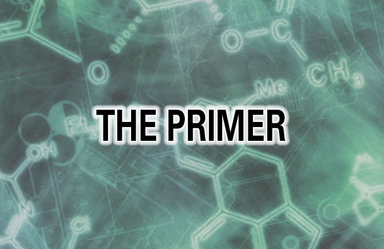 Mlo The Primer 5d30697fa4dc5