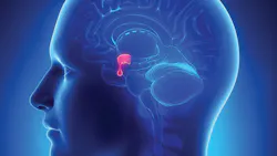 Adobe Stock 41785343 5da7613dee3ed Adobe Stock 41785343 5da7613dee3ed