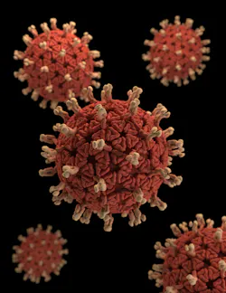 Cdc Rotavirus Image 21351 5e56840b65539 Cdc Rotavirus Image 21351 5e56840b65539