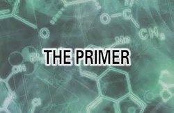 Mlo The Primer 5e4b0c576cc50 Mlo The Primer 5e4b0c576cc50