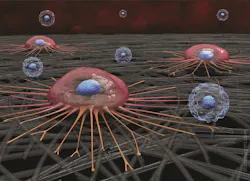 A circulating cancer cell (pink) attaches to carbon nanotube surface; white blood cells (blue) do not adhere and are later washed away. A circulating cancer cell (pink) attaches to carbon nanotube surface; white blood cells (blue) do not adhere and are later washed away.