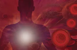 Inf Dis Art Inf Dis Art