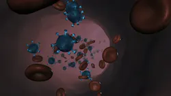 Pixabay Red Blood Cells 5048698 1920 5ec3db2691ff9 Pixabay Red Blood Cells 5048698 1920 5ec3db2691ff9