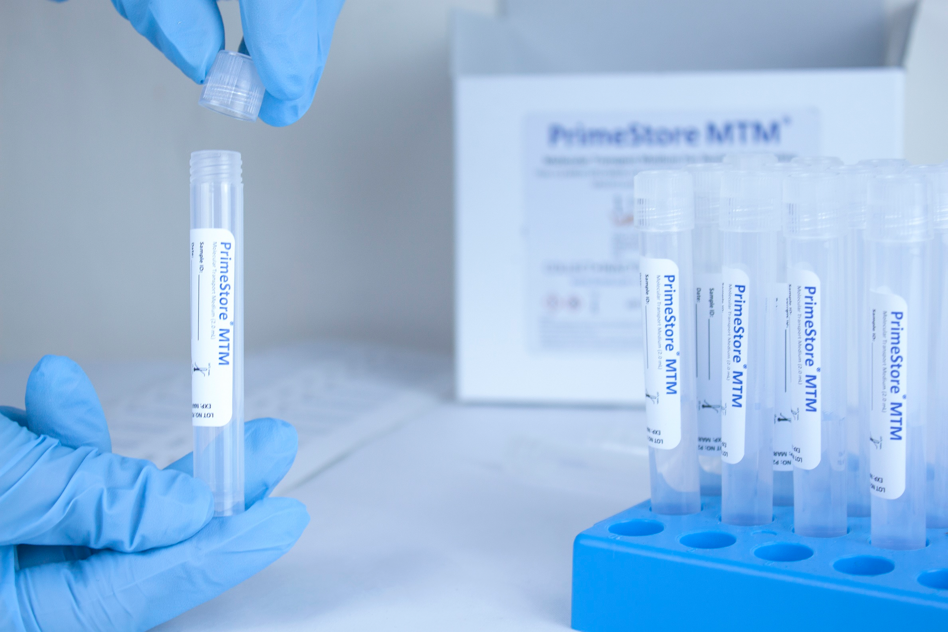 Ekf Prime Store Mtm 5ed5042fe66b3