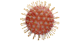 Pixabay Virus 4930122 1280 5ed654d055b51 Pixabay Virus 4930122 1280 5ed654d055b51