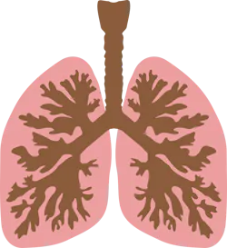 Pixabay Windpipe 149762 1280 5ed7aa760e1ee Pixabay Windpipe 149762 1280 5ed7aa760e1ee