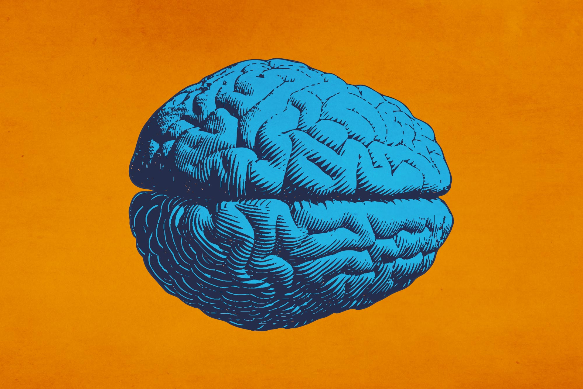 Glioblastoma Header 5 5f0efa4798693