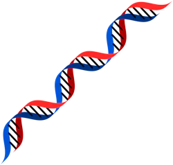 Pixabay Dna 2108956 1280 5f368a418f7fc Pixabay Dna 2108956 1280 5f368a418f7fc