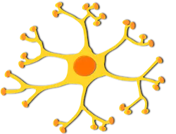 Pixabay Neuron 306034 1280 5f3d26bb2bf4a Pixabay Neuron 306034 1280 5f3d26bb2bf4a