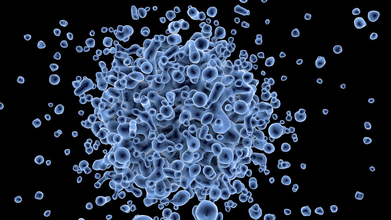 Pixaby Virus 163471 1280 5f2bf70d5b235