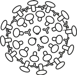 Pixabay Corona 4944191 1280 1 5f9ac8e9c8292 Pixabay Corona 4944191 1280 1 5f9ac8e9c8292