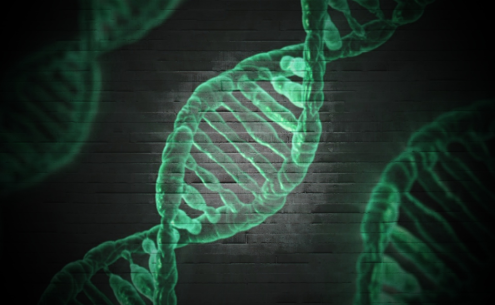 Pixabay Dna 1903319 1920 5faa9e2028c11