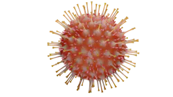 Pixabay Virus 4930122 1920 2 5fb285c8c1946 Pixabay Virus 4930122 1920 2 5fb285c8c1946