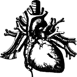 Heart 2846113 1280 5fbd6b4976a67 Heart 2846113 1280 5fbd6b4976a67