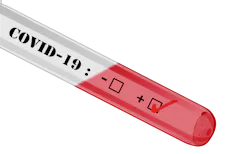 Pixabay Covid 19 4908690 1920 5feb43e93d2e7 Pixabay Covid 19 4908690 1920 5feb43e93d2e7