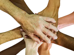 Pixabay diverse 3 30 21 60631fdebb6a0 Pixabay diverse 3 30 21 60631fdebb6a0