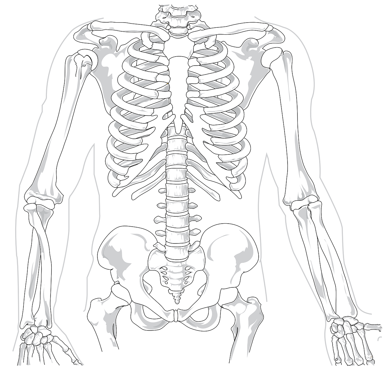 Skeleton 41569 1280 3 6054ae75ac8ab