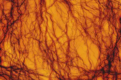 Pixabay bloodvessel 4 7 21 606ce26acc217 Pixabay bloodvessel 4 7 21 606ce26acc217