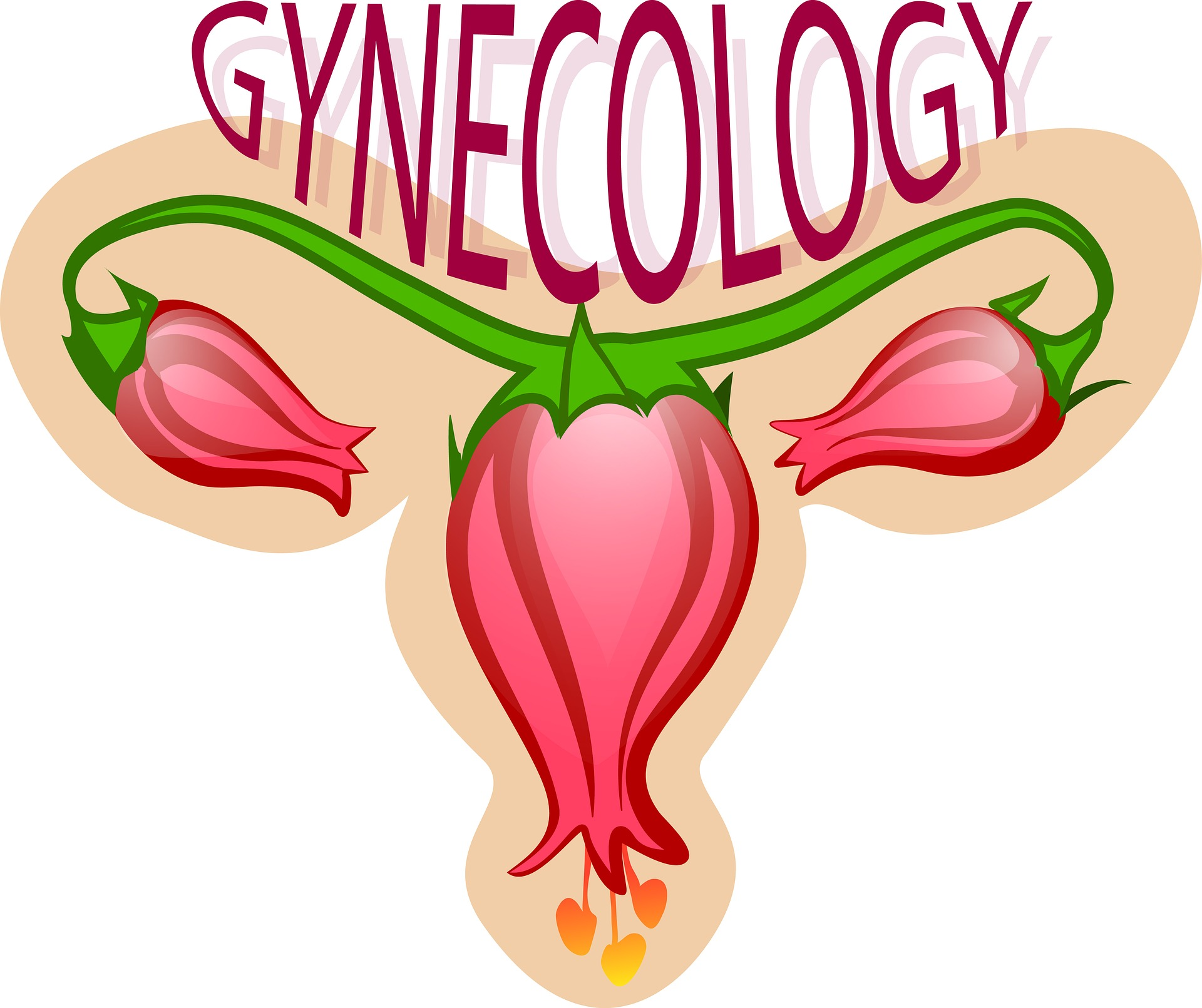 Gynecology image By From Pixabay 609297392334e