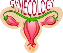Gynecology image By From Pixabay 609297392334e Gynecology image By From Pixabay 609297392334e