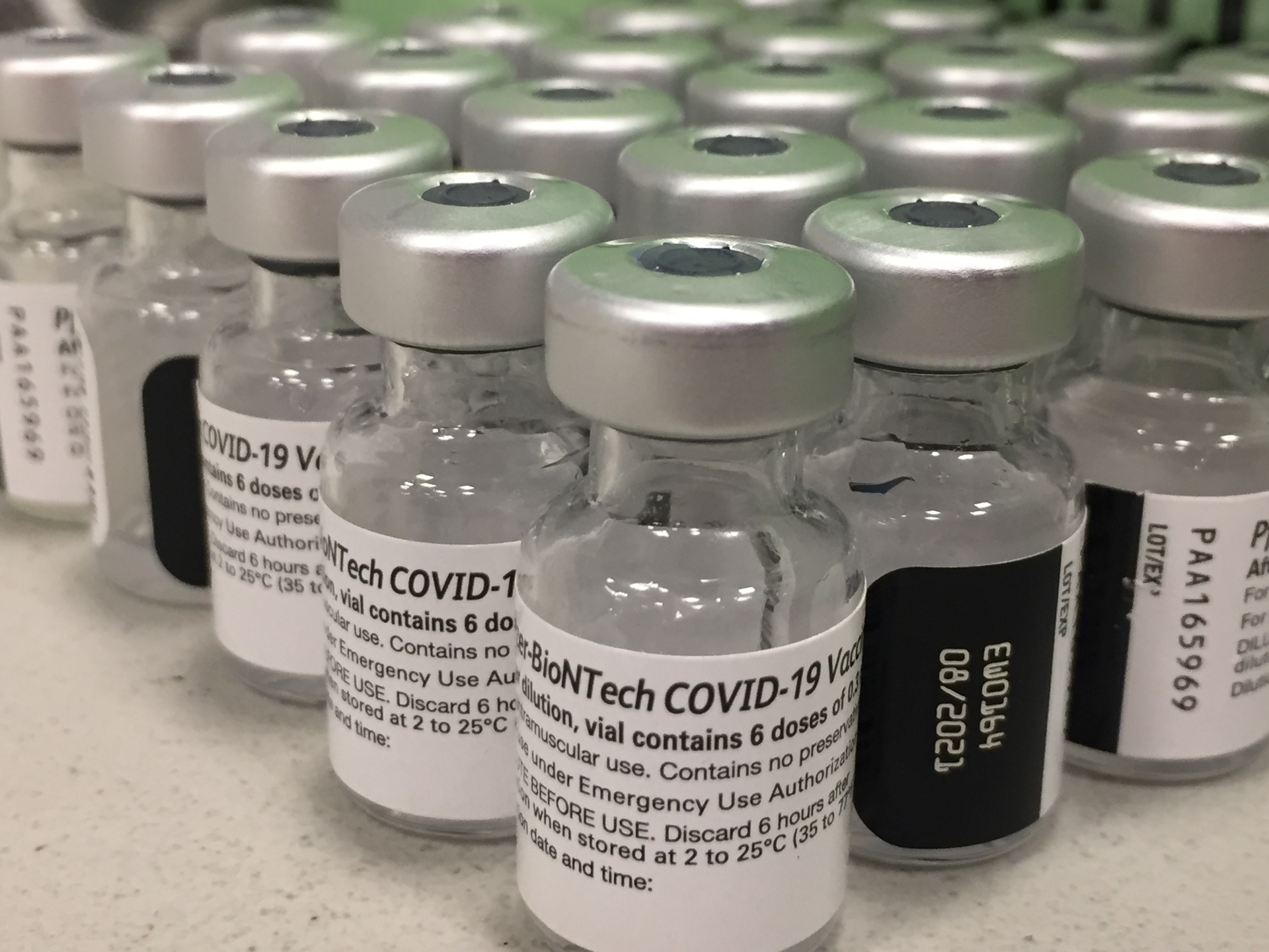 Covid By Marisa L Williams 60c35d6c99ea4