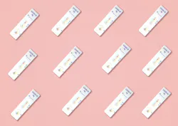 Antigen Test Image By Alexandra Koch From Pixabay 60c7482f2ff29 Antigen Test Image By Alexandra Koch From Pixabay 60c7482f2ff29