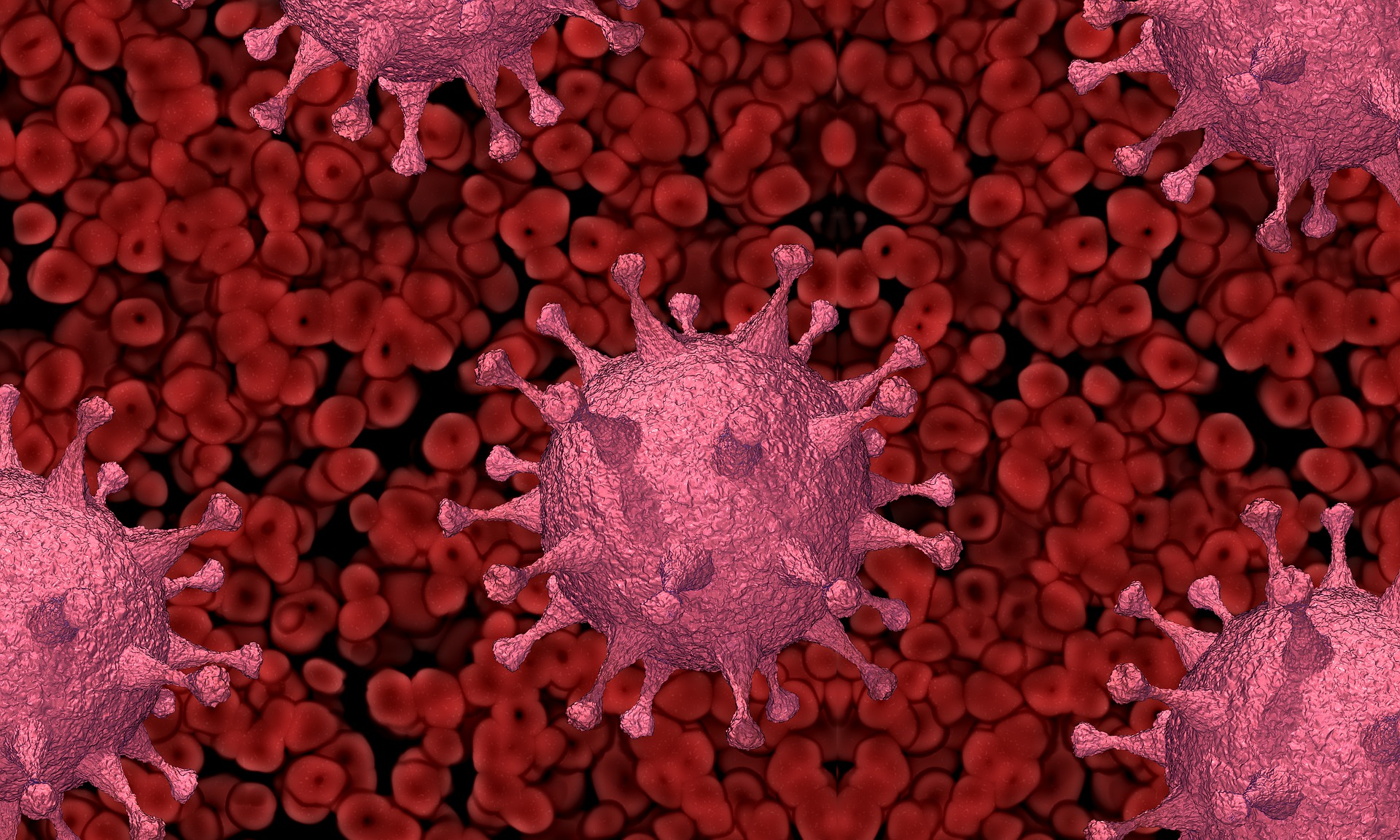 Blood Virus Image By Pete Linforth From Pixabay 60db1ab3656ff