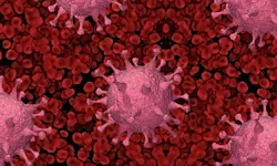 Blood Virus Image By Pete Linforth From Pixabay 60db1ab3656ff Blood Virus Image By Pete Linforth From Pixabay 60db1ab3656ff