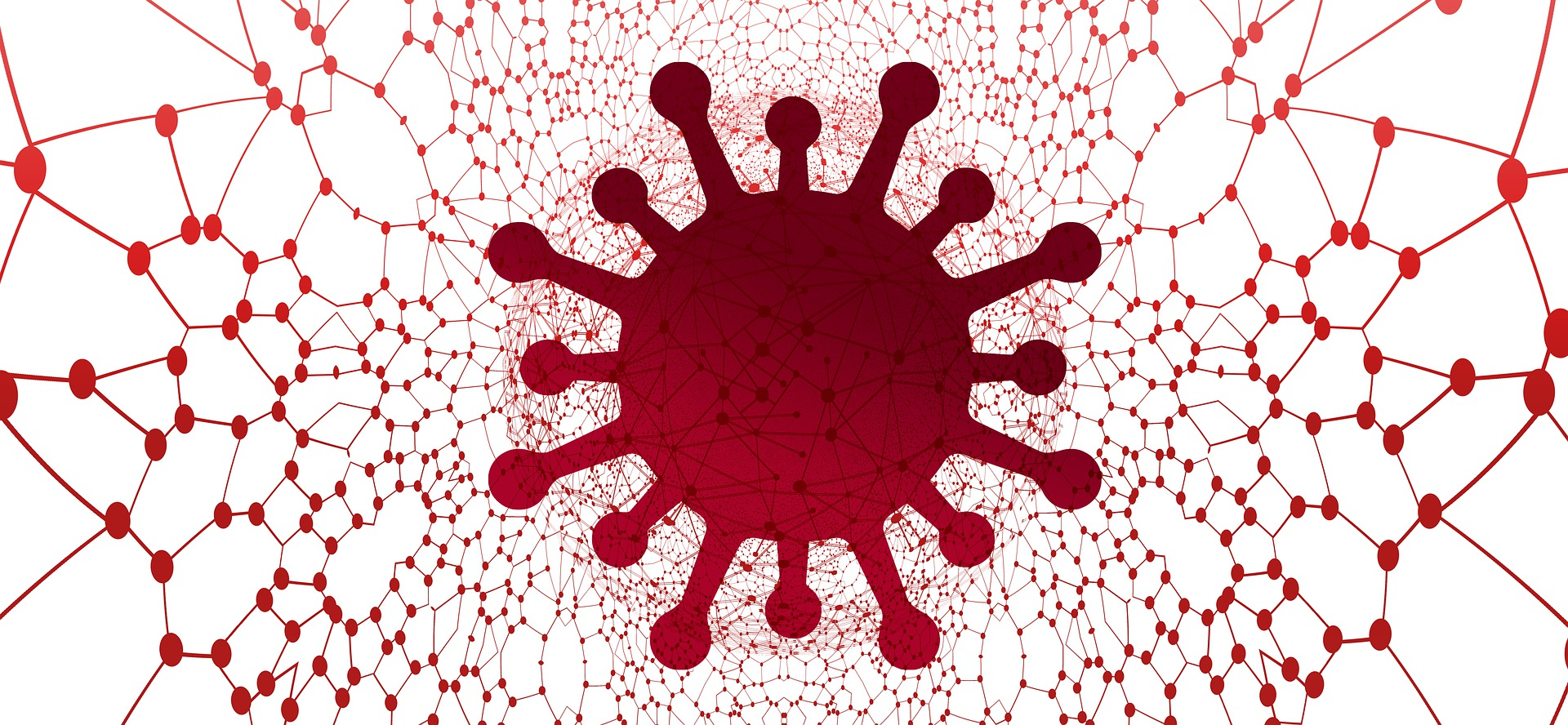 Virus Image By Gerd Altmann From Pixabay 60db18fa8b7fc