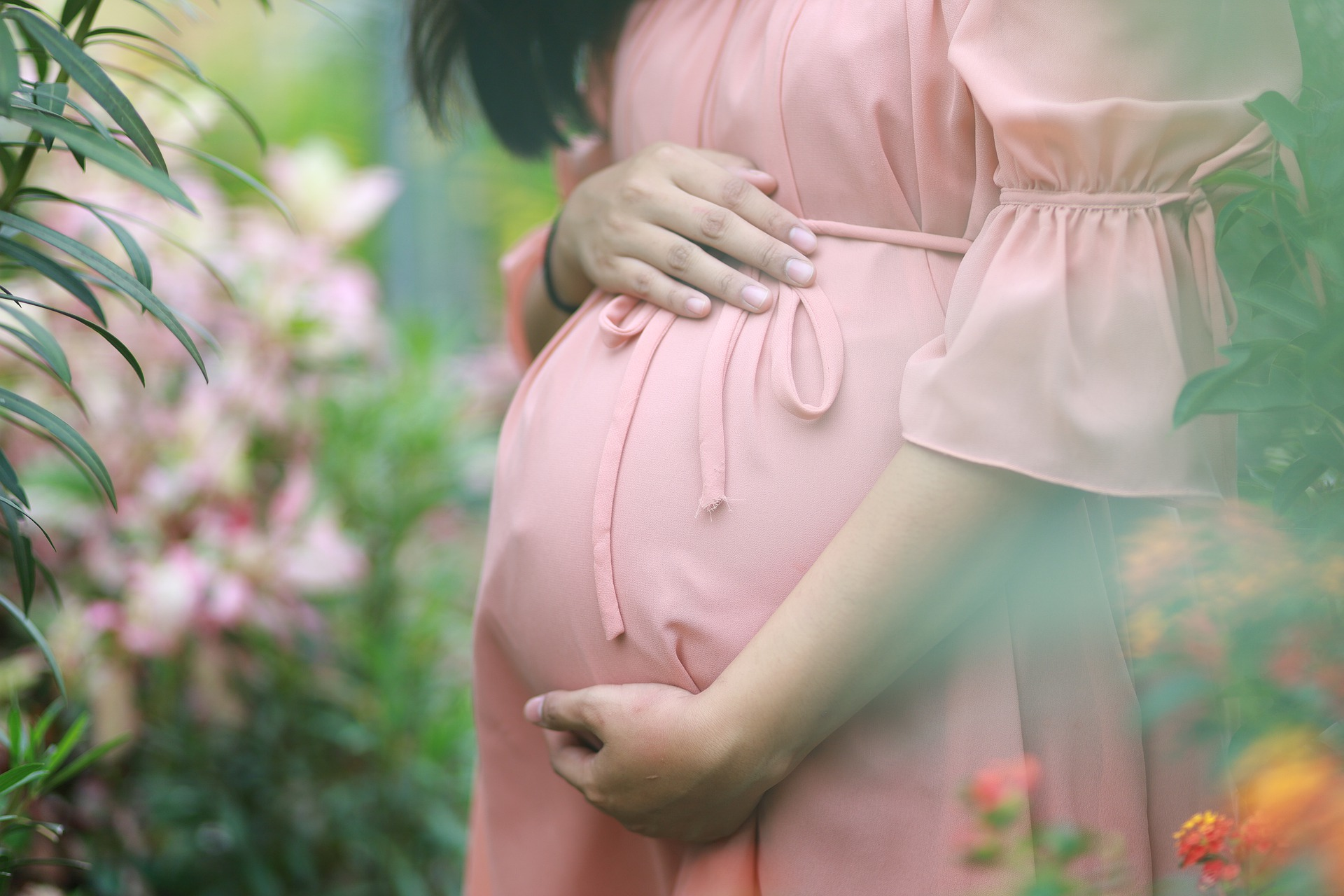 Pregnant Pink Dress Image By From Pixabay 61127ee23b435