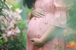 Pregnant Pink Dress Image By From Pixabay 61127ee23b435 Pregnant Pink Dress Image By From Pixabay 61127ee23b435