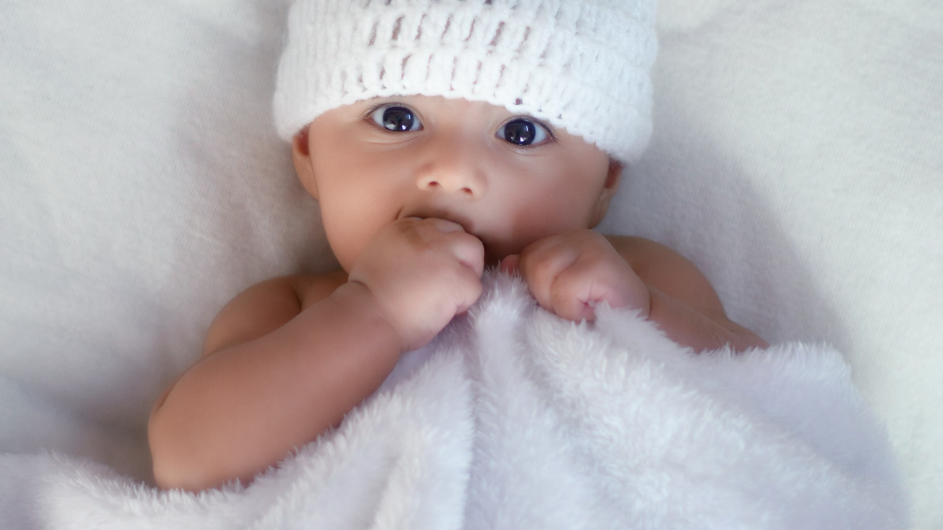 Baby Bunny Hat Photo By Kaushal Mishra On Unsplash 616981b2da254