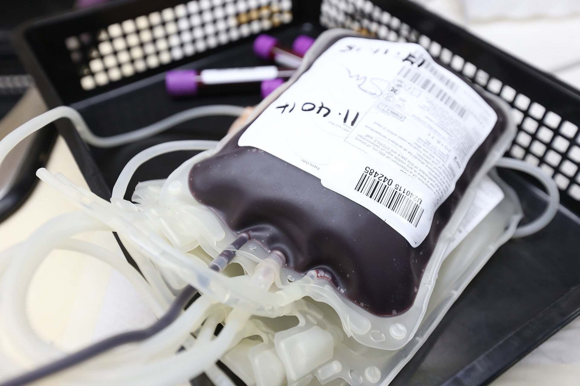 Blood Bag Donation Image By Ahmad Ardity From Pixabay 616ec655b645a