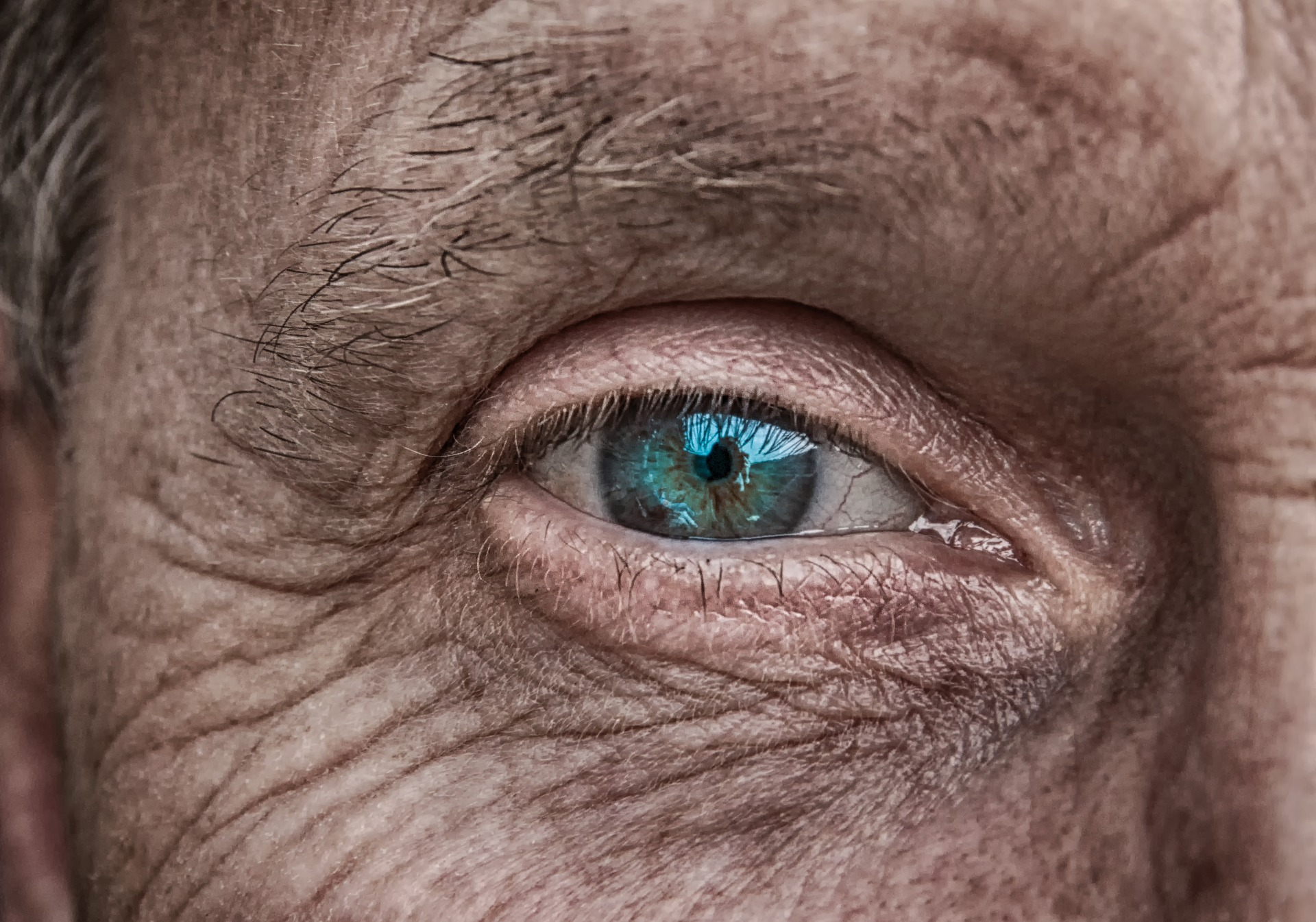 Man Eye Image By Analogicus From Pixabay 6171d88661f0d