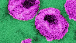 10860 619bb164bcc18 10860 619bb164bcc18