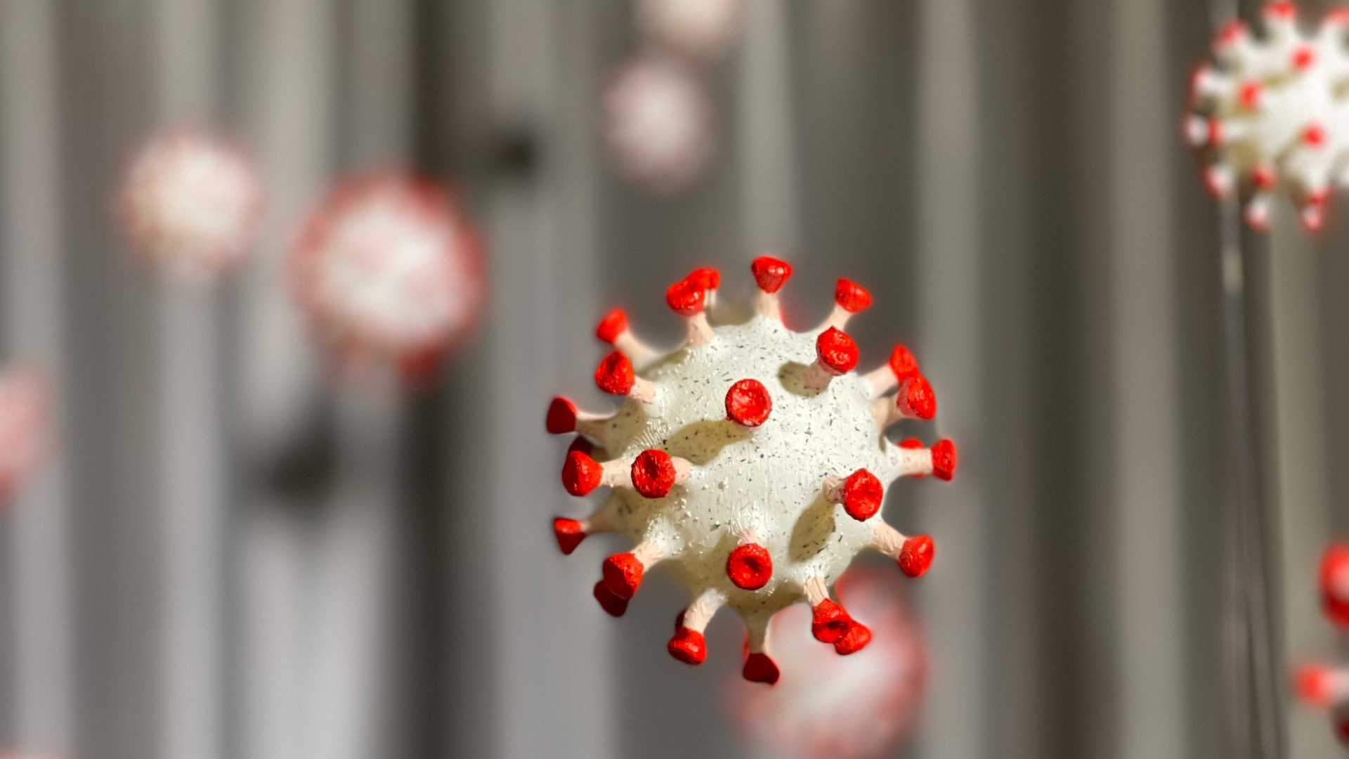 Quinten Braem Jx O9 Ipz3 Wic Unsplash 618bda058eea1