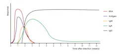 Figure 1. Antibody responses over time a https://www.clinicalmicrobiologyandinfection.com/article/S1198-743X(21)00221-4/fulltext. The presented figure is a simplified representation to increase general understanding but can be variable for different individuals in different settings. For example, some individuals exhibit RNA levels that can stay elevated for weeks to months following disease resolution. Adapted from Ong D, et al. Clin Microbiol Infect. 2021;27(7):981-986. doi: 10.1016/j.cmi.2021.05.001, with permission from Elsevier #5167800710801. Figure 1. Antibody responses over time a https://www.clinicalmicrobiologyandinfection.com/article/S1198-743X(21)00221-4/fulltext. The presented figure is a simplified representation to increase general understanding but can be variable for different individuals in different settings. For example, some individuals exhibit RNA levels that can stay elevated for weeks to months following disease resolution. Adapted from Ong D, et al. Clin Microbiol Infect. 2021;27(7):981-986. doi: 10.1016/j.cmi.2021.05.001, with permission from Elsevier #5167800710801.
