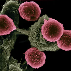 Cancer Cells National Cancer Institute Lnv Cex Qw C O Unsplash 61c9c5a89440a Cancer Cells National Cancer Institute Lnv Cex Qw C O Unsplash 61c9c5a89440a