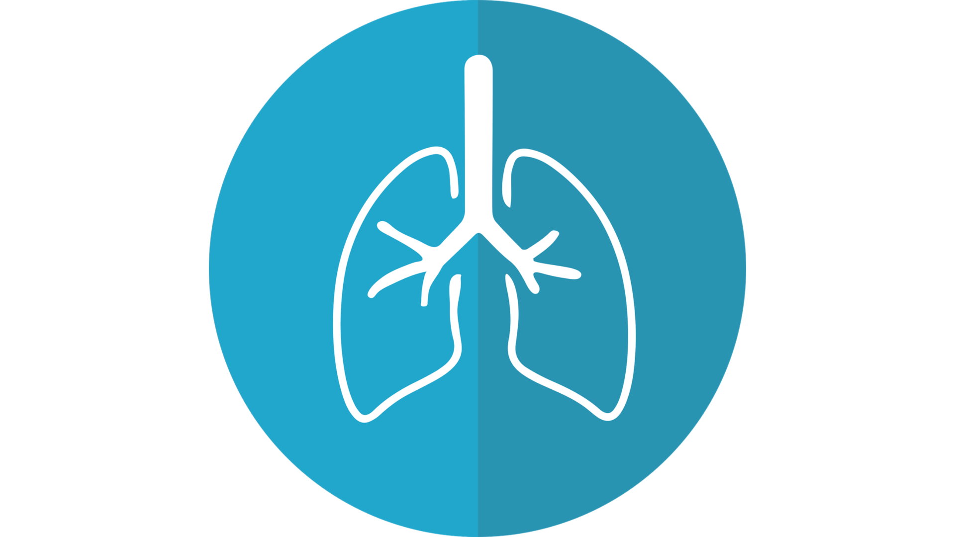 2 11 2022 10 32 09 Am 620681df2519b