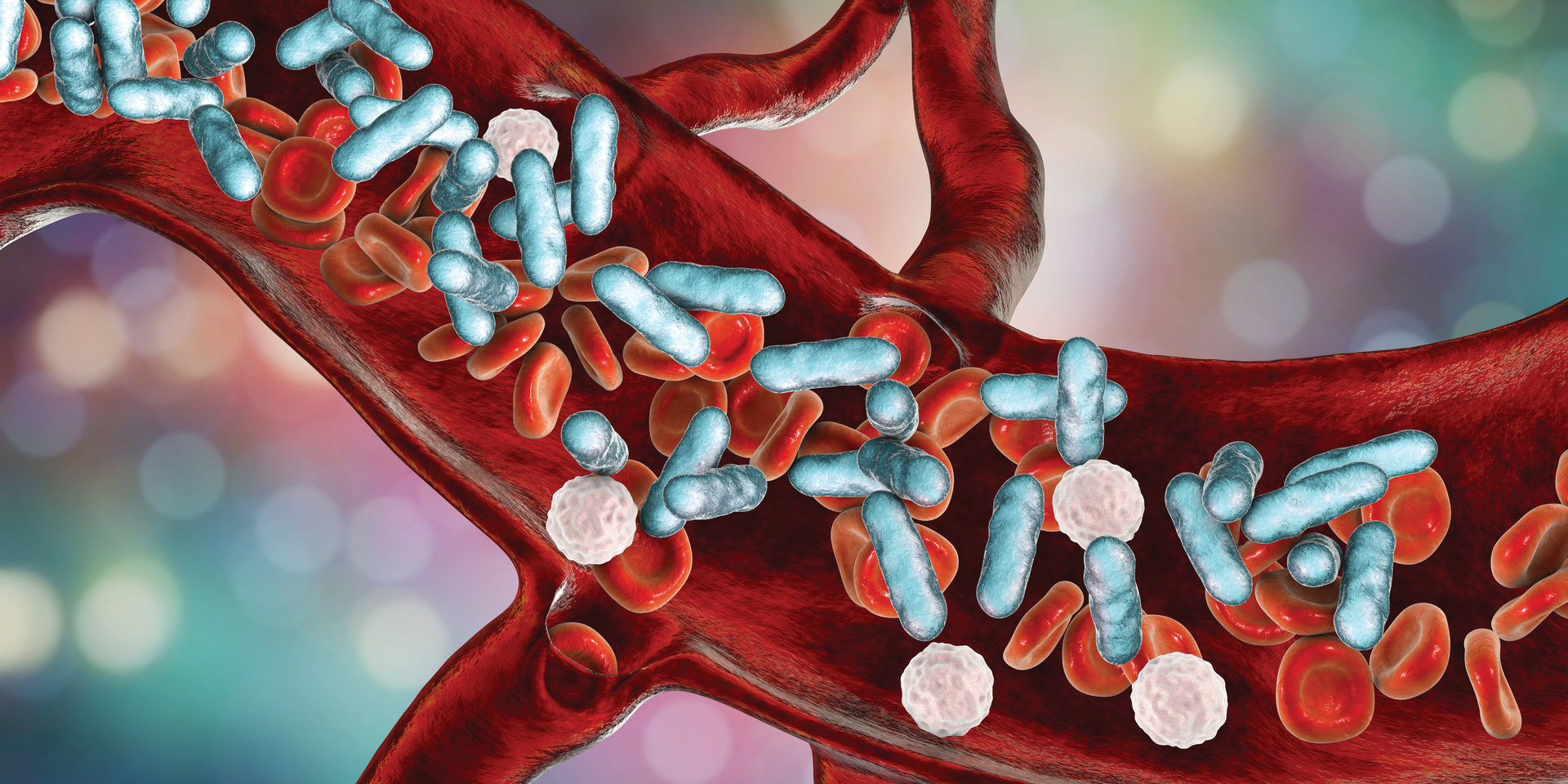Bigstock Sepsis Bacteria In Blood D 269249659 62140140d380f