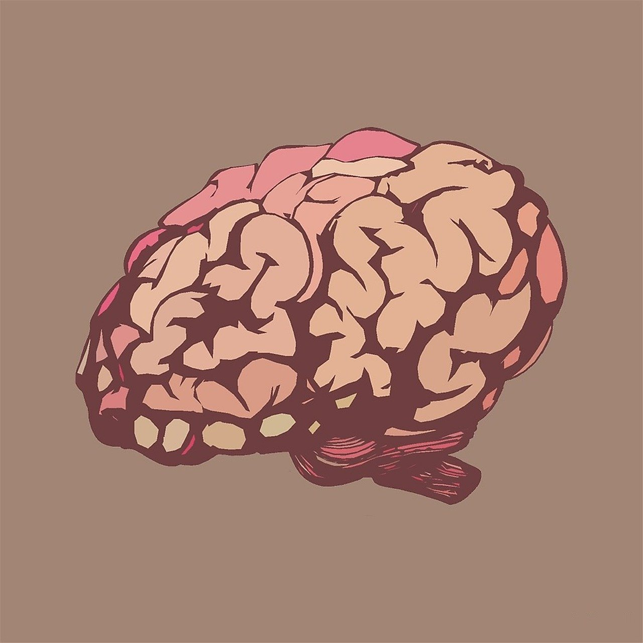 Pixabay Brain Gcd8863bf7 1280 6217a02d3845e