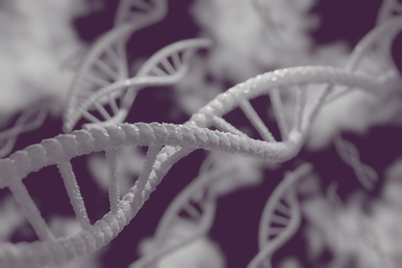 Pixabay Dna Gb37e70e6d 1280 620a696ed9c0a