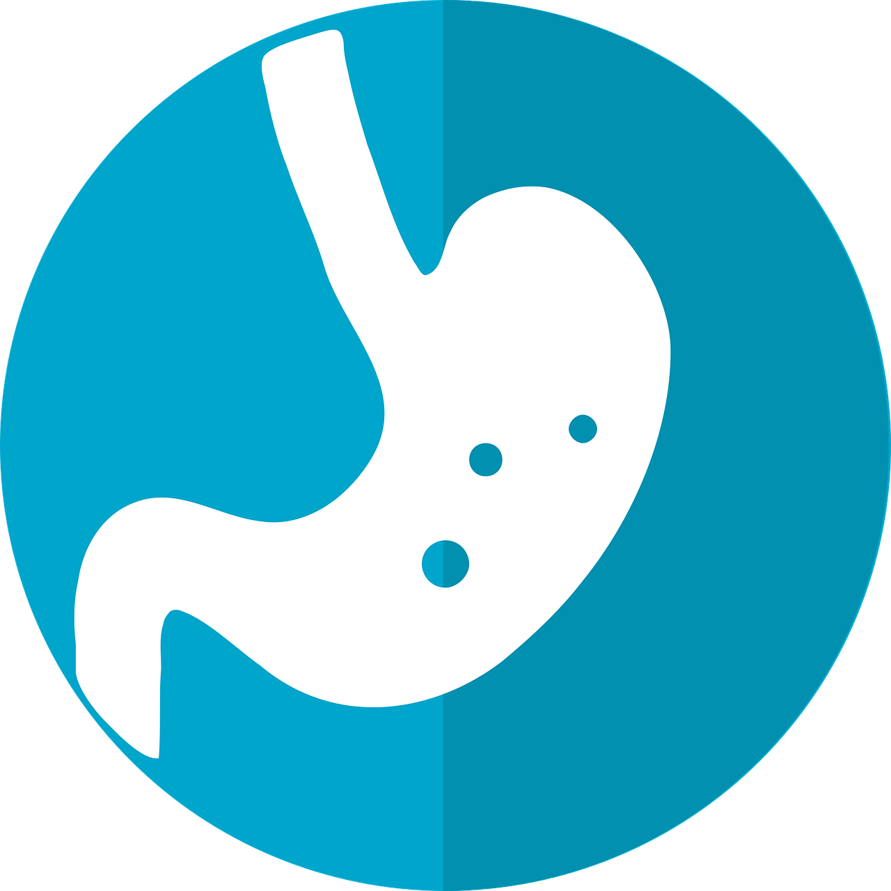 Pixabay Stomach Icon Ge07a44096 1280 620d0e482b4d9