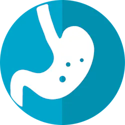 Pixabay Stomach Icon Ge07a44096 1280 620d0e482b4d9 Pixabay Stomach Icon Ge07a44096 1280 620d0e482b4d9