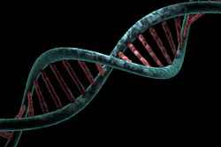 Pixabay Genetics Dna G4672f5652 1280 622f561f4cc1c Pixabay Genetics Dna G4672f5652 1280 622f561f4cc1c